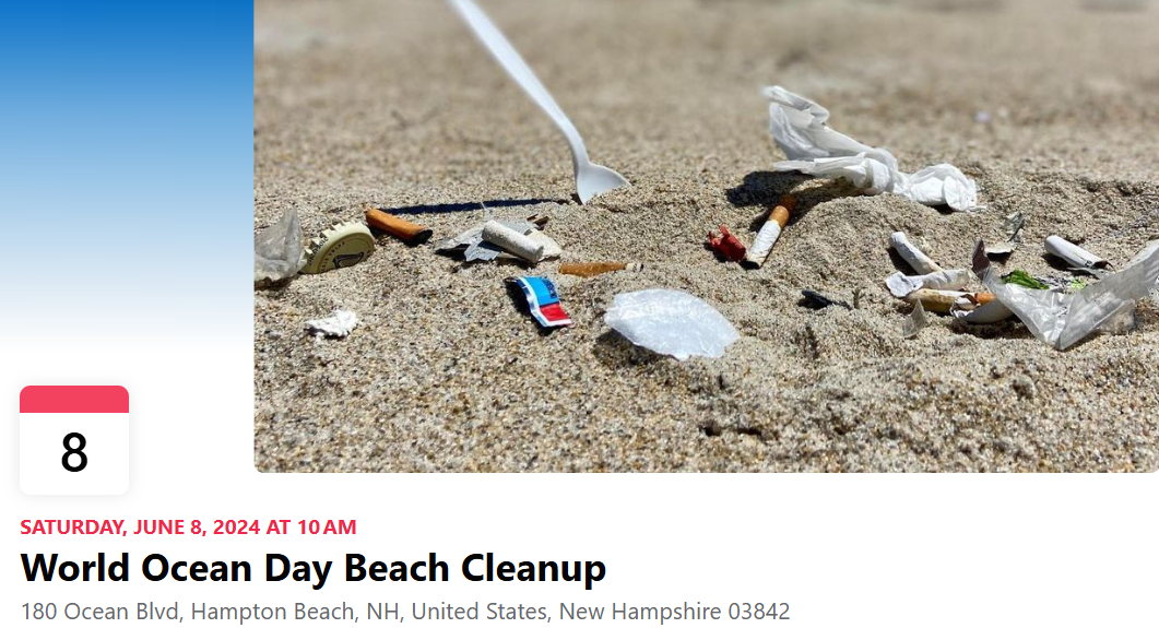 World Ocean Day Beach Cleanup