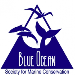 Blue Ocean Society logo