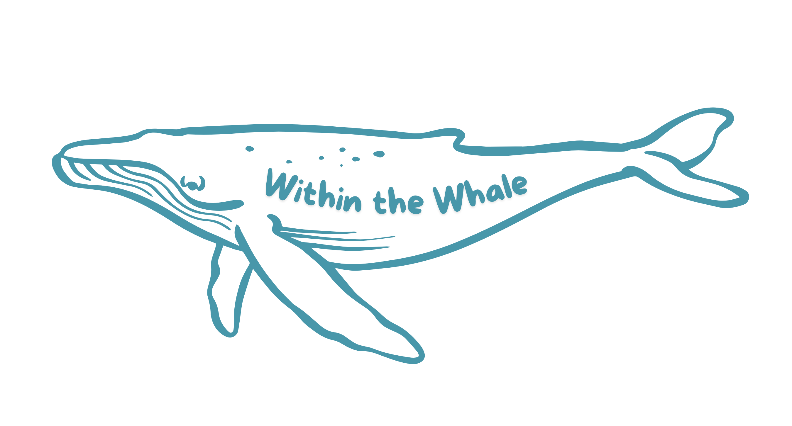 Within the Whale words within the outline of a humpback whale